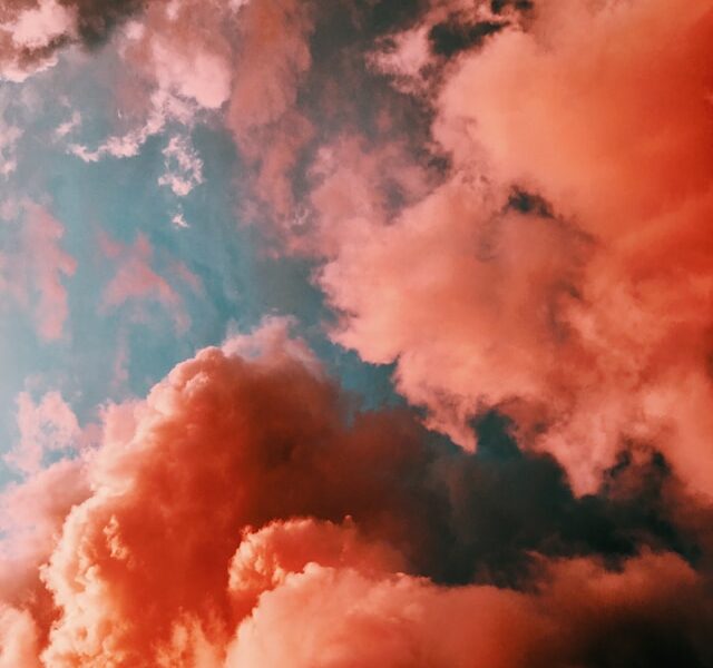 Czym różni się zachowanie użytkowników na różnych portalach randkowych